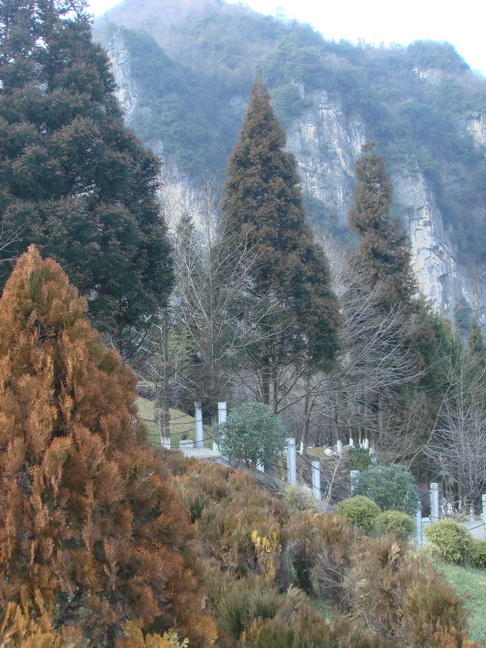 DSC03119.jpg