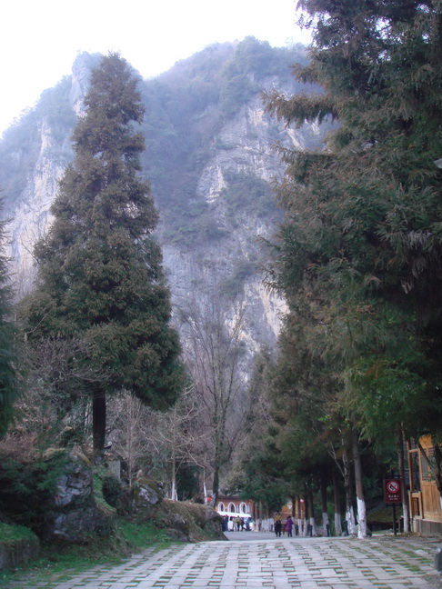 DSC03135.jpg