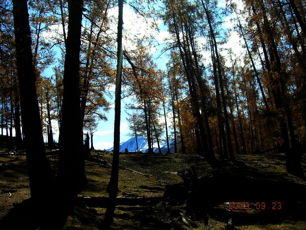 DSCN3018.JPG