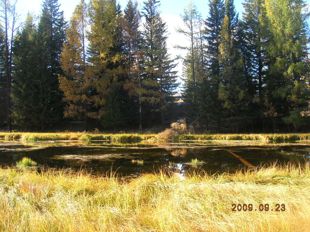 DSCN3038.JPG