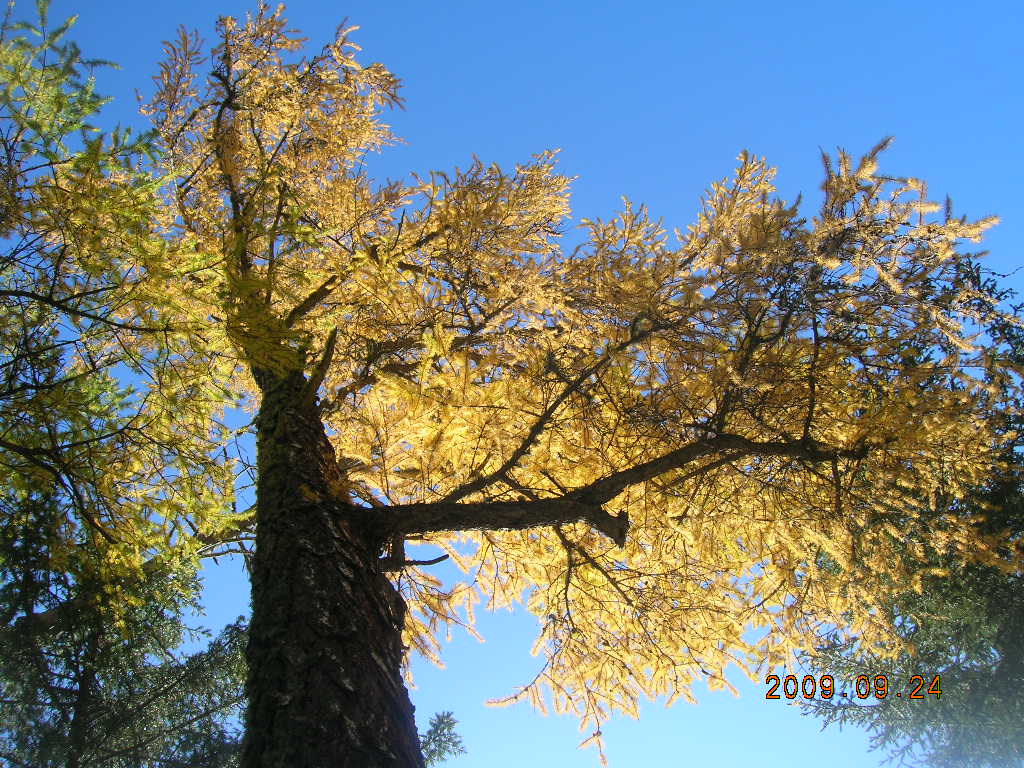 DSCN3077.JPG