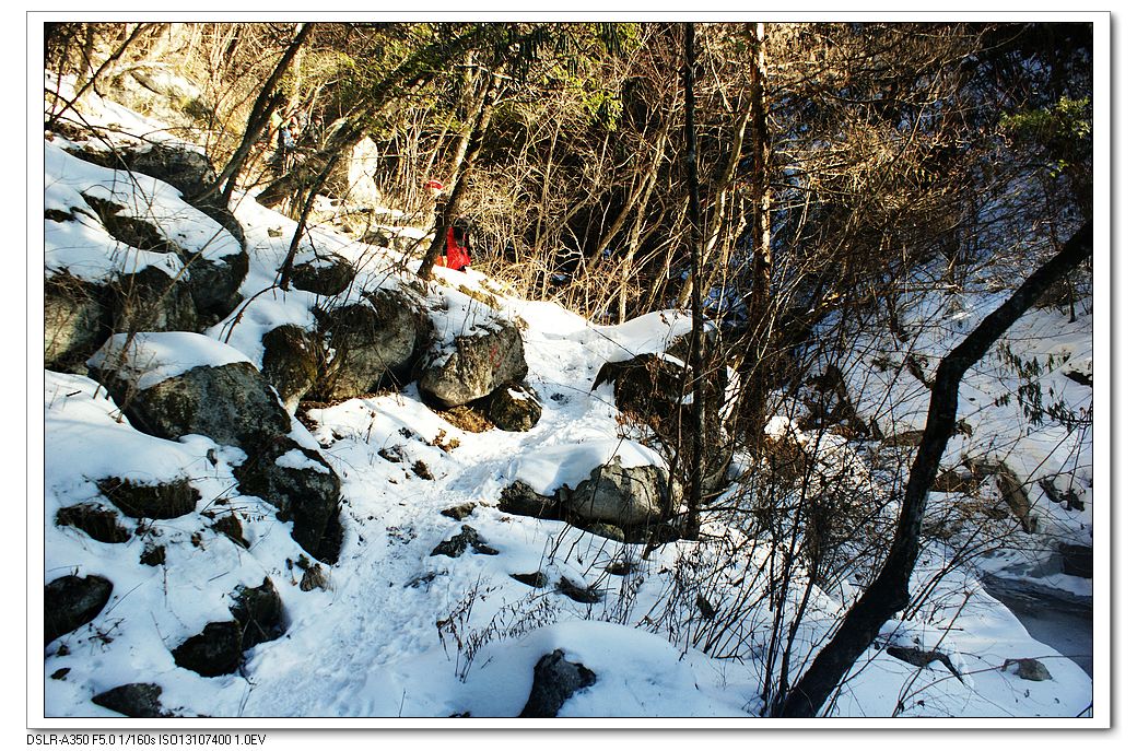 DSC00100.jpg