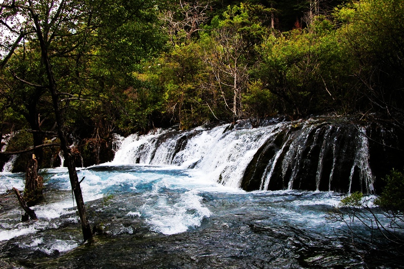 DSCN0008-1.jpg