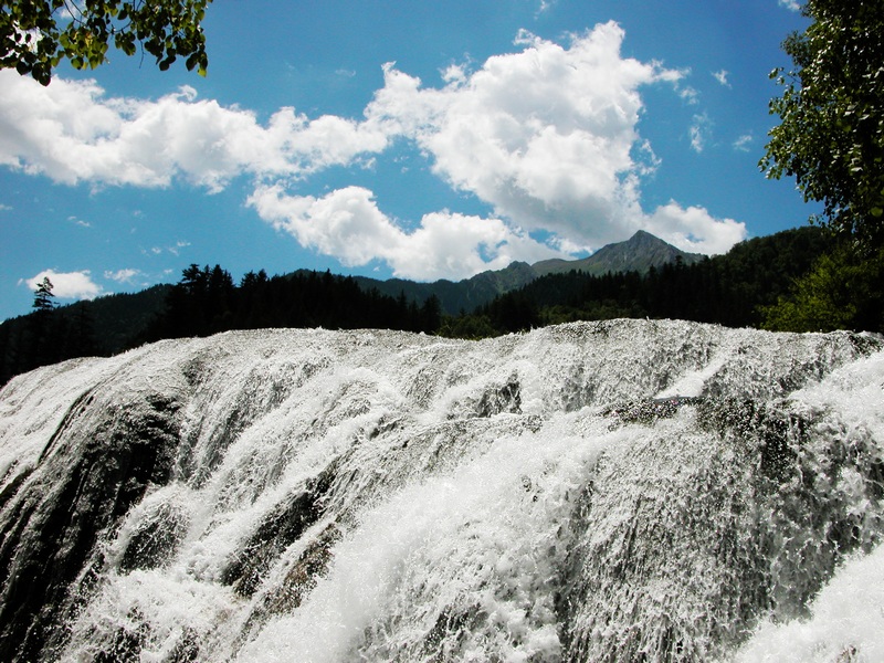 DSCN0128.jpg
