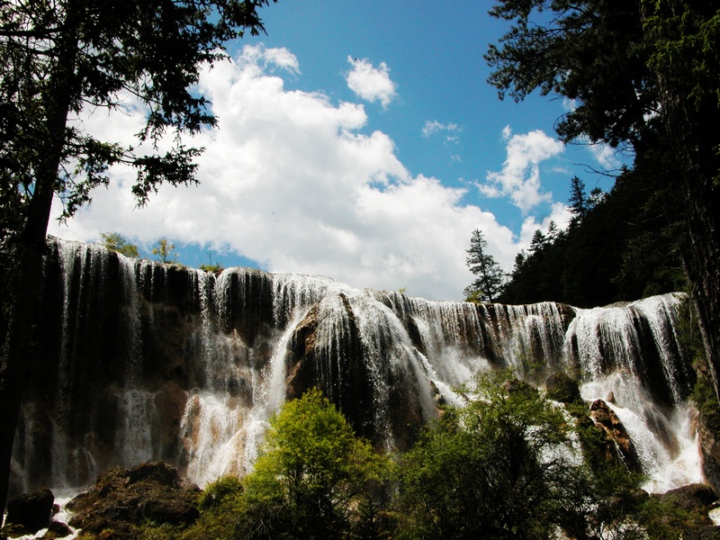 DSCN0140.jpg