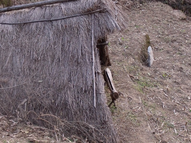 DSCF0705.jpg