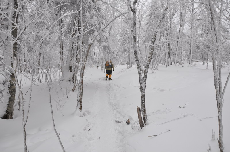 DSC_0108.JPG