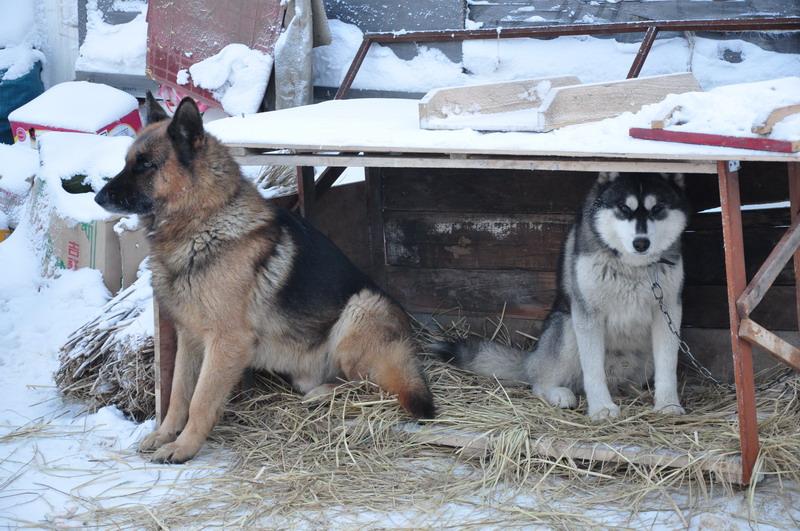 DSC_0169.JPG