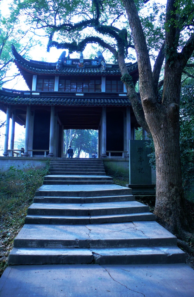 L1020922.jpg
