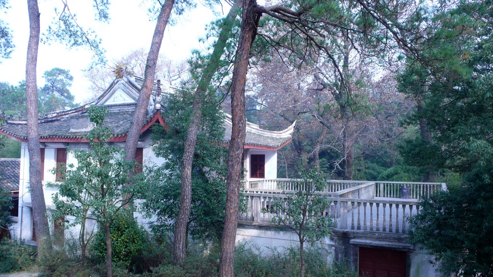 L1030014.jpg