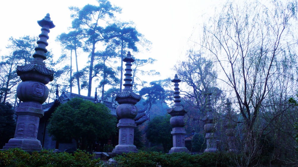 L1030057.jpg