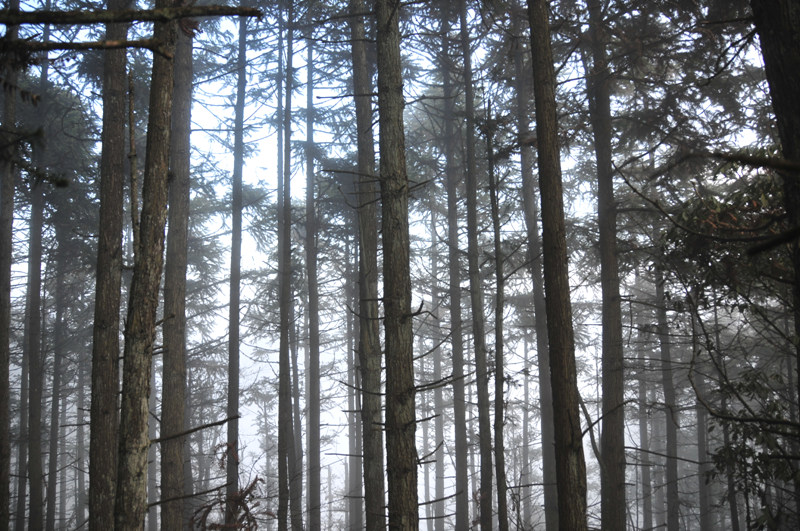 DSC_1863.jpg