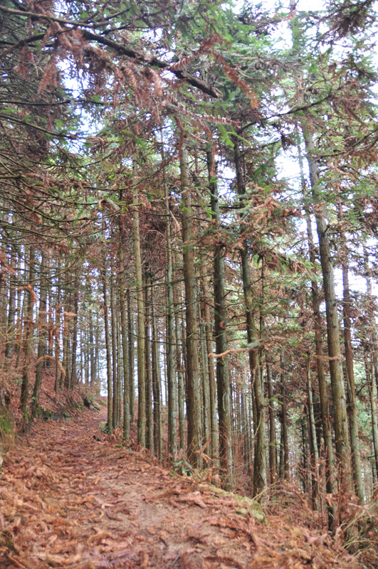 DSC_1866.jpg