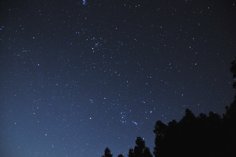 DSC_1870-1.jpg