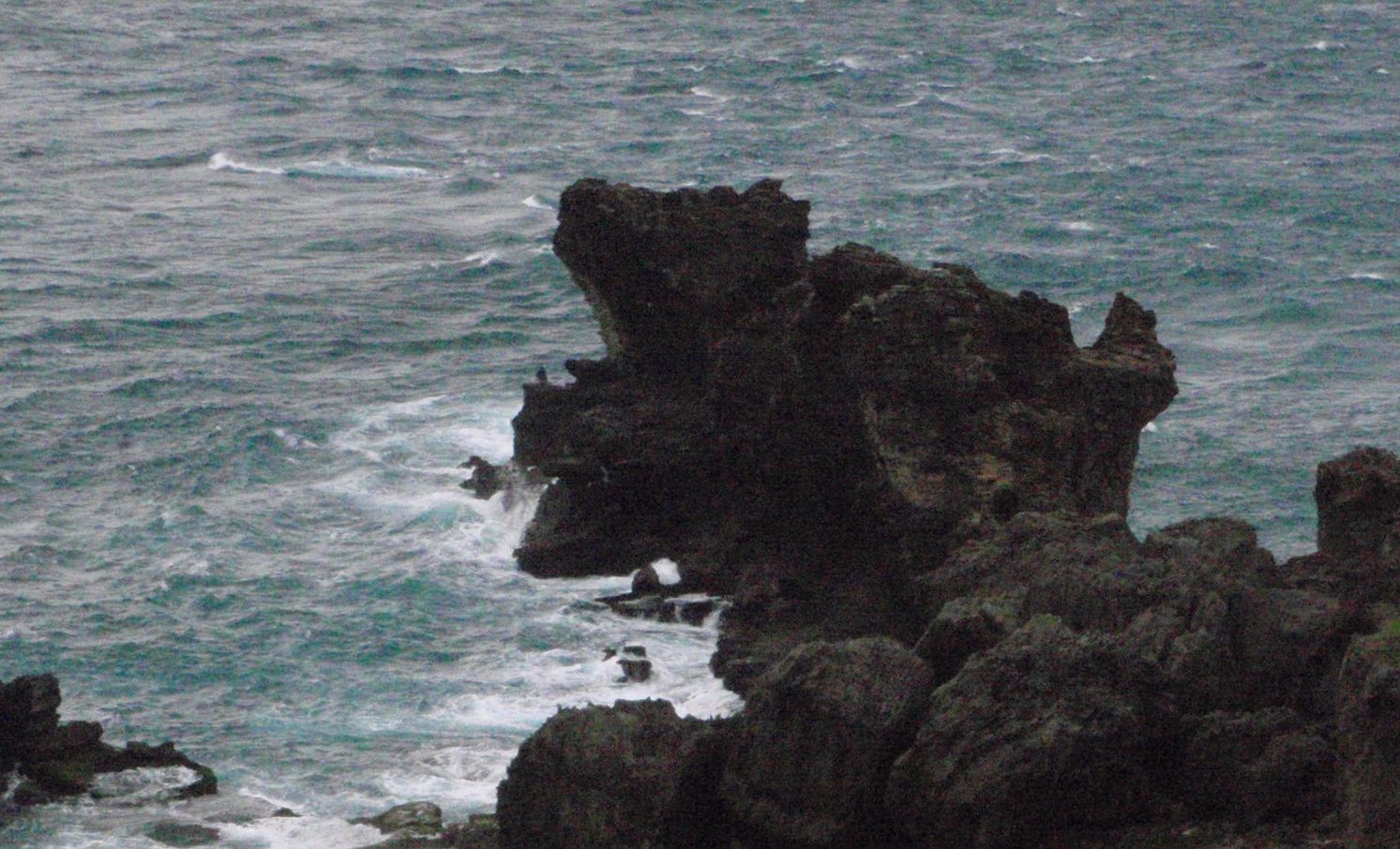 P1120106.JPG