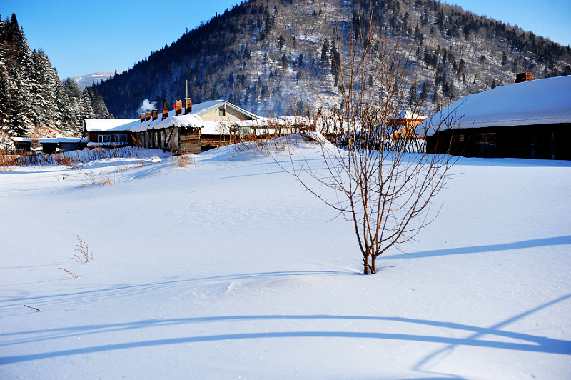 DSC_3697.jpg