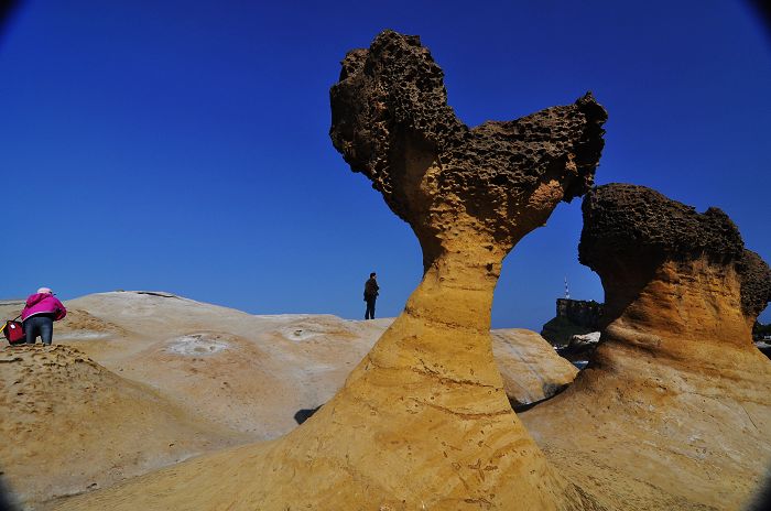 nEO_IMG__DSC0896.jpg