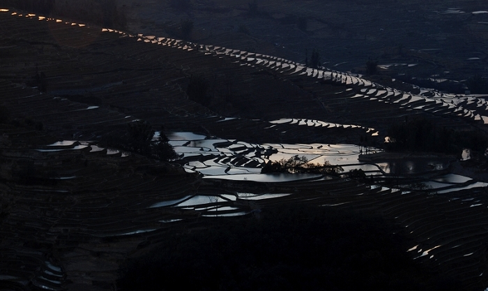 DSC_0295.JPG