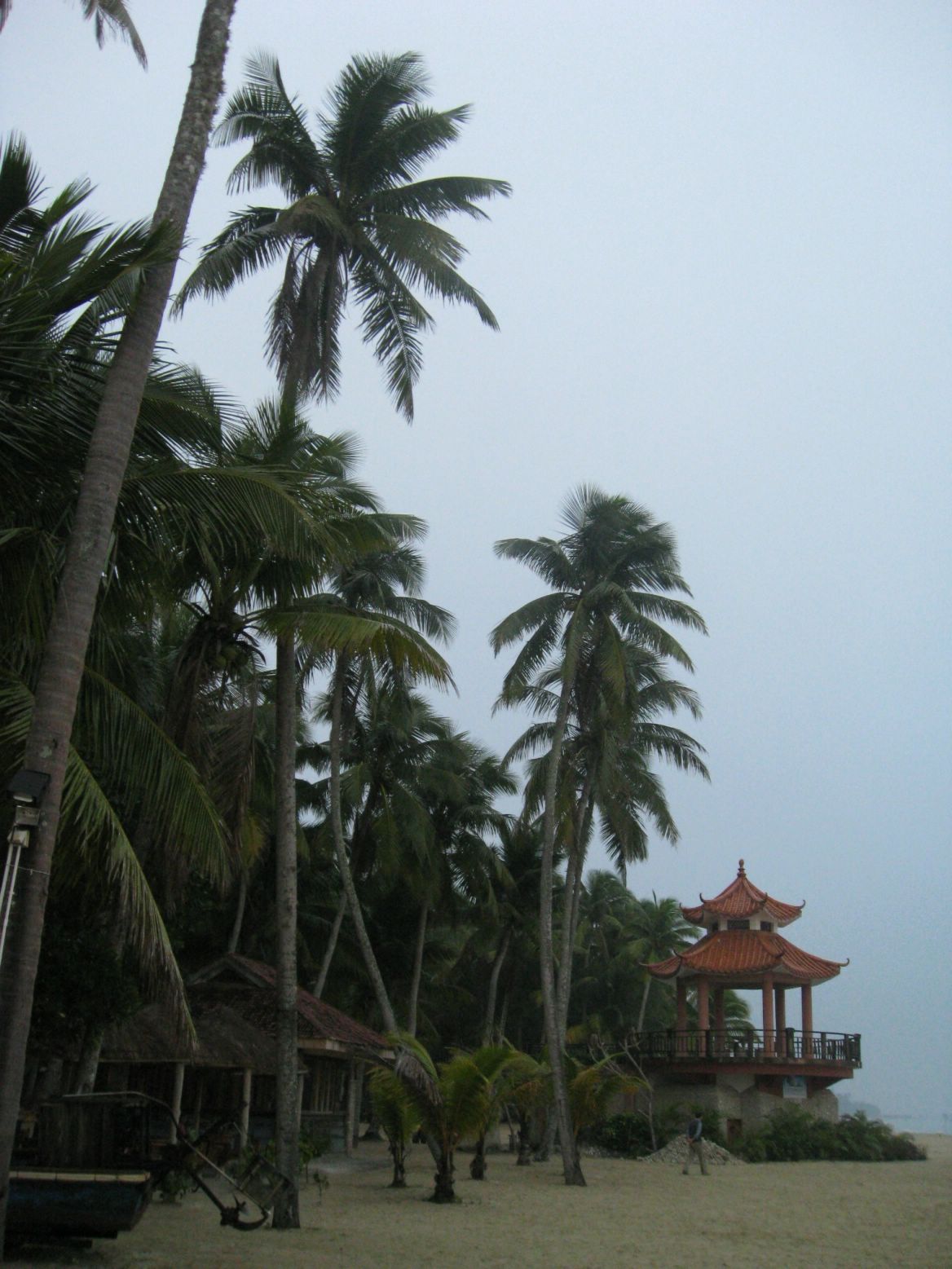 IMG_5732.JPG