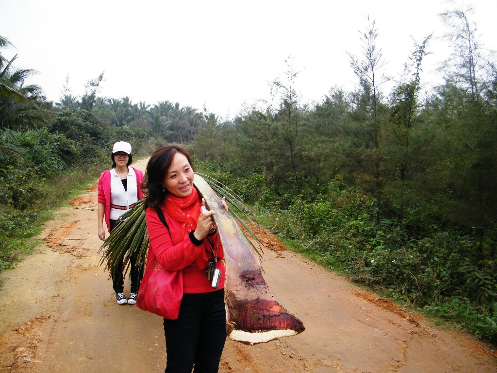 DSCF0382.JPG