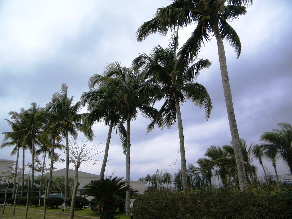DSCF0483.JPG