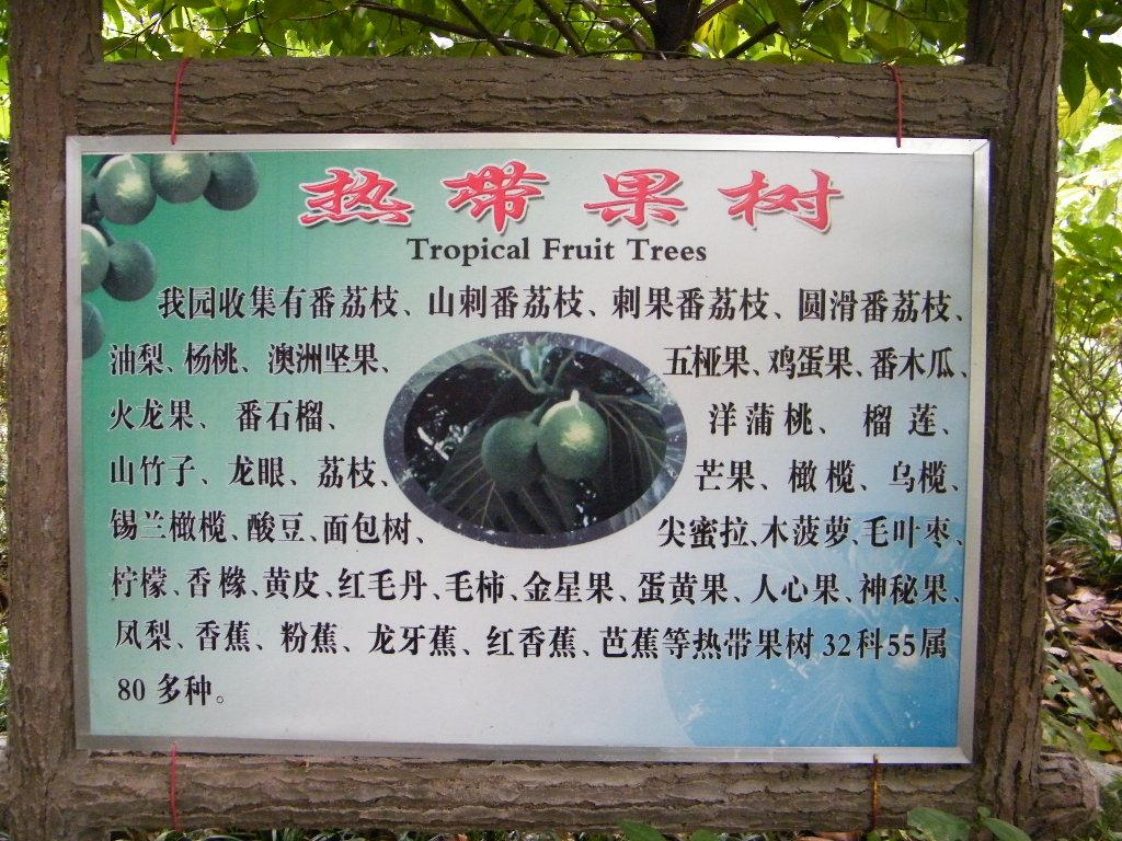 DSCF0522.JPG
