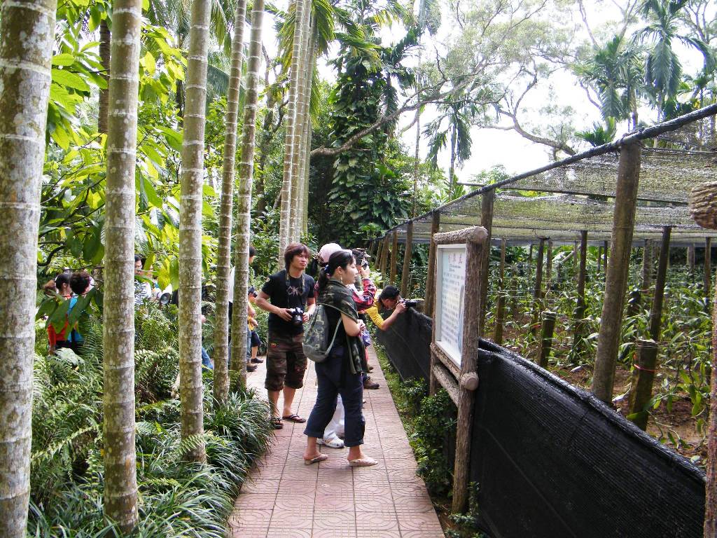 DSCF0528.JPG