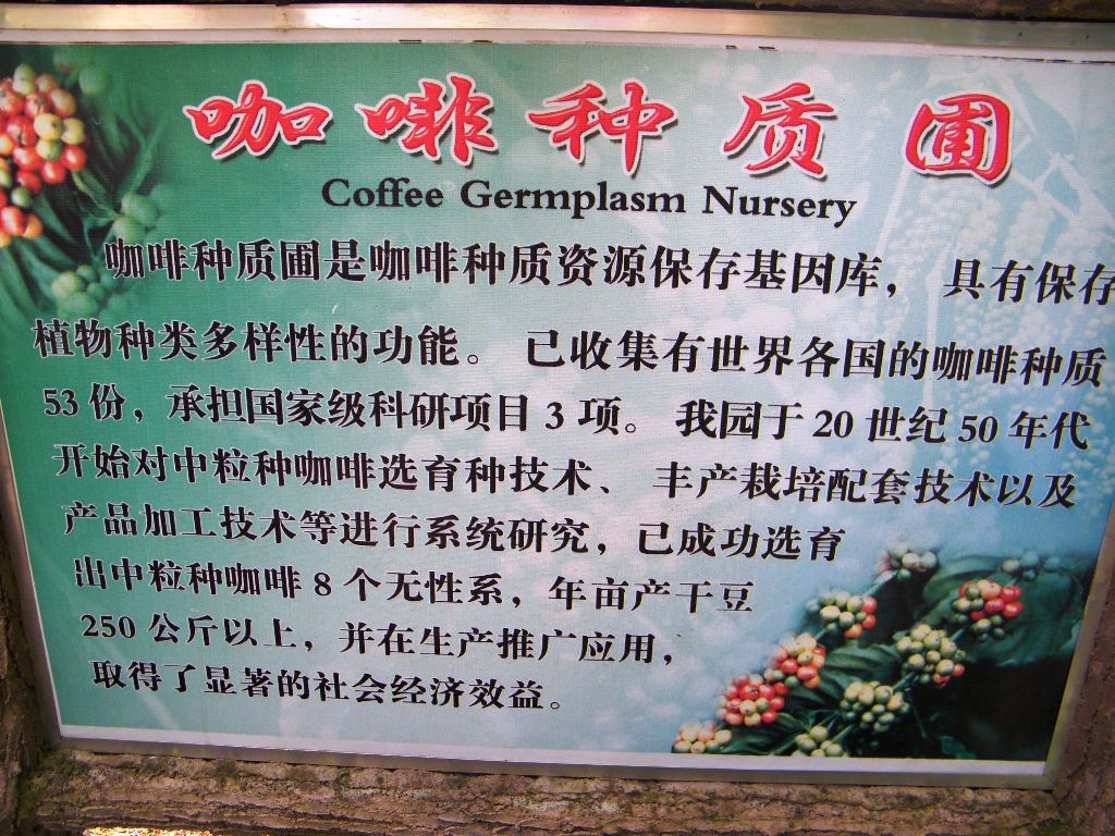 DSCF0540.JPG