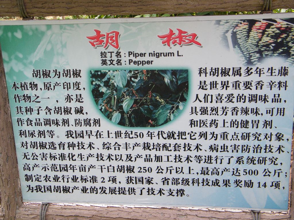 DSCF0543.JPG