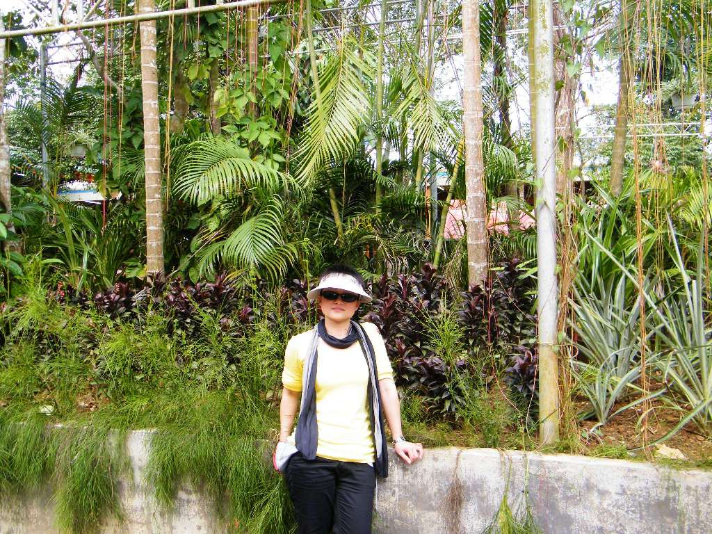 DSCF0590.JPG