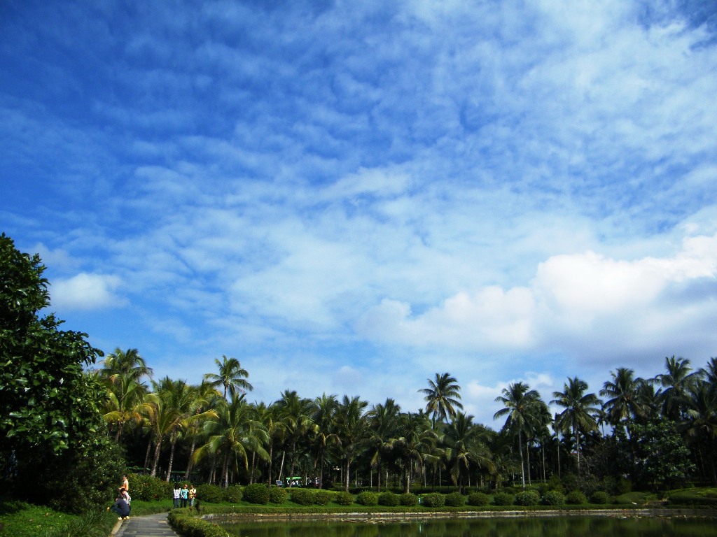 DSCF0633.JPG