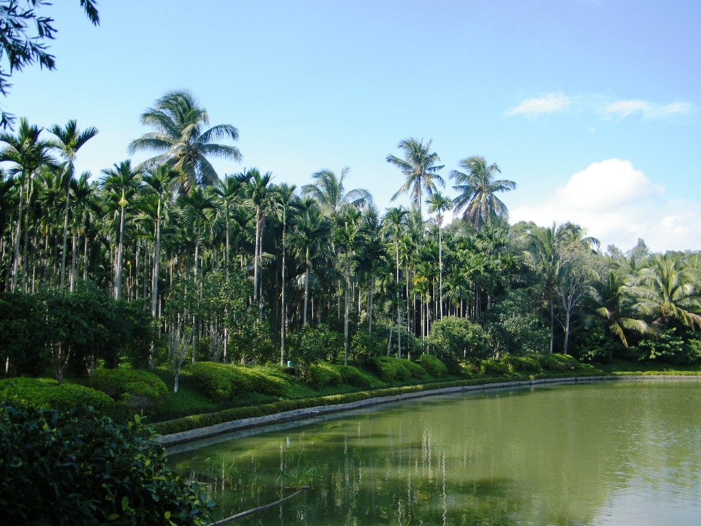 DSCF0658.JPG