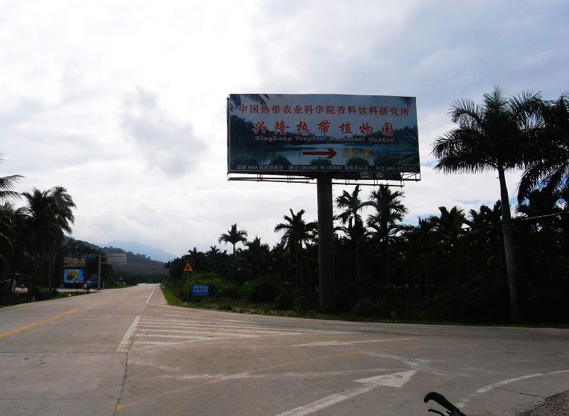 R0020621.JPG