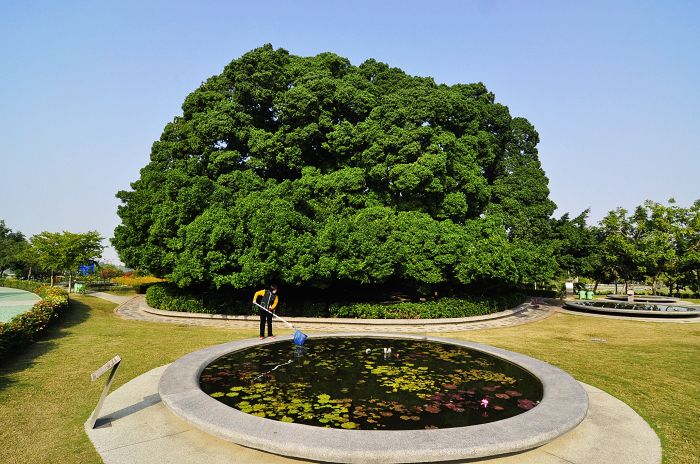 nEO_IMG__DSC1378.jpg