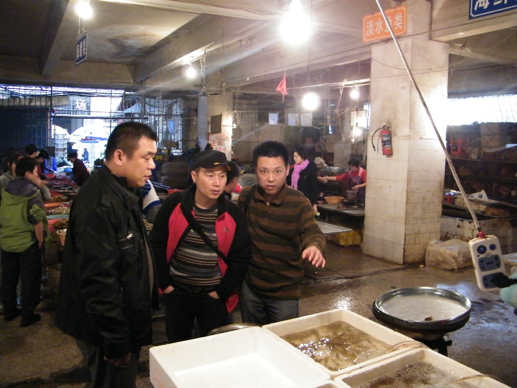 DSCF0296.JPG