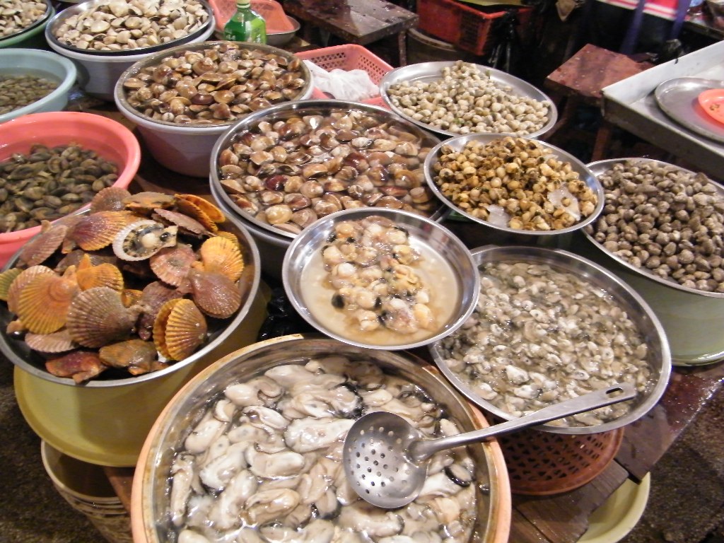 DSCF0298.JPG