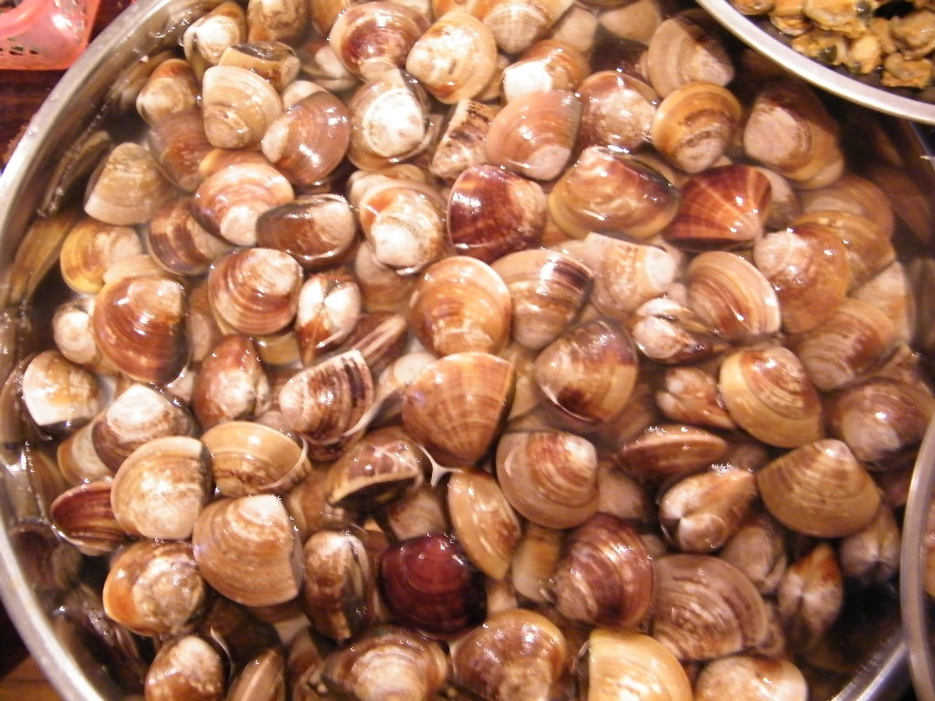 DSCF0301.JPG