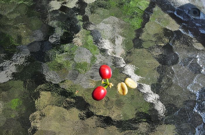 nEO_IMG__DSC0168.jpg