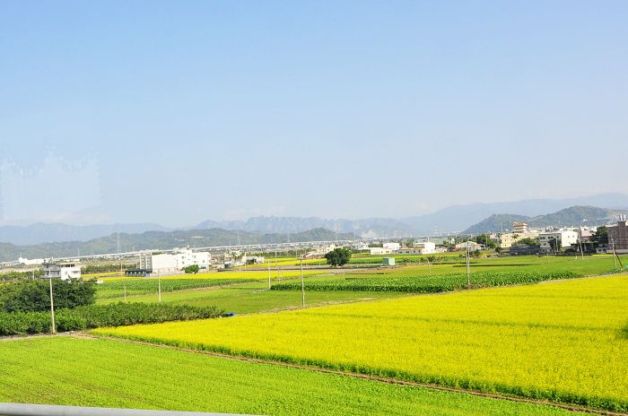 nEO_IMG__DSC0246.jpg