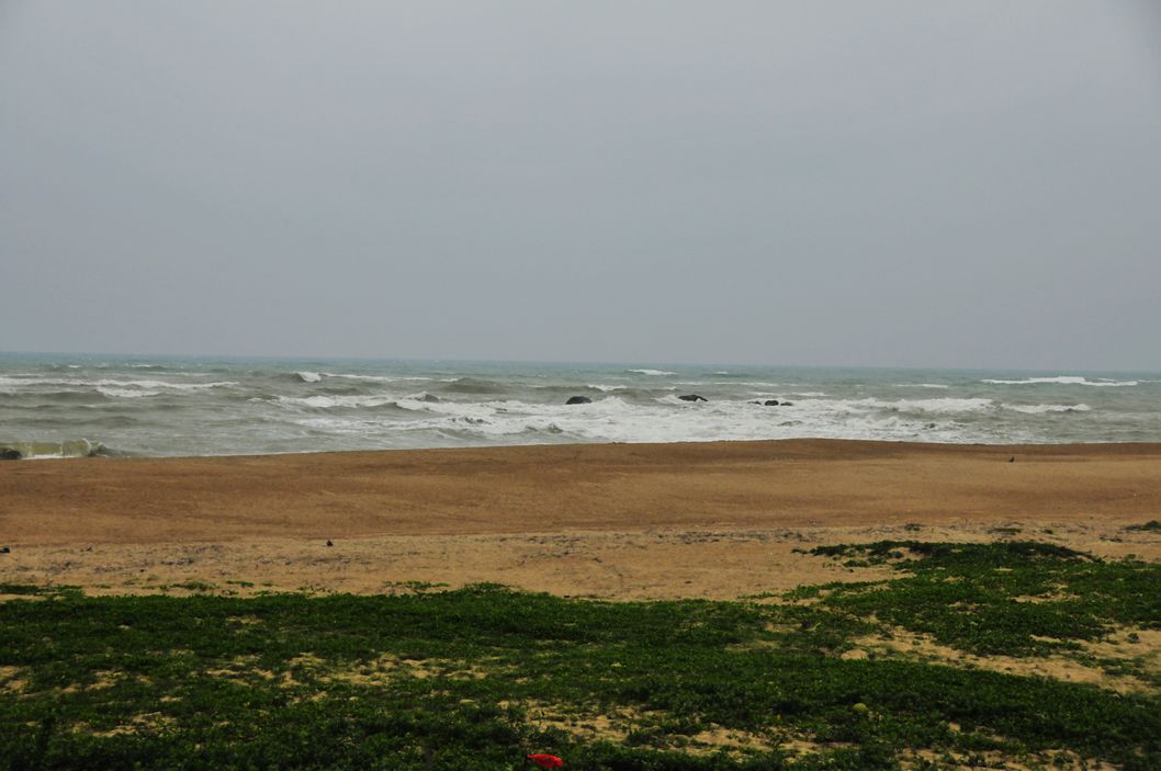 _DSC5986.jpg