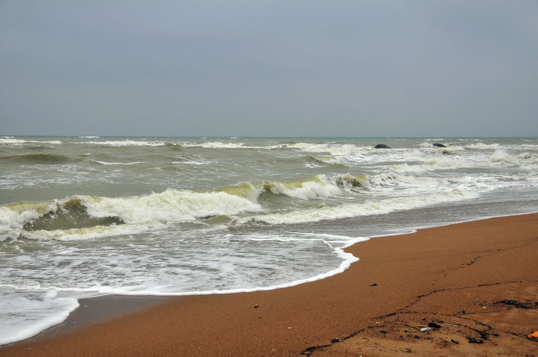 _DSC6002.jpg