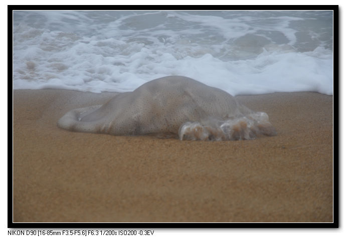 DSC_1094.JPG