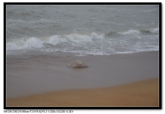 DSC_1090.JPG
