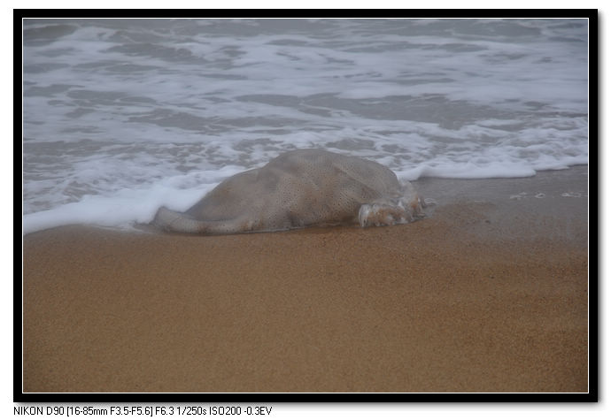 DSC_1093.JPG