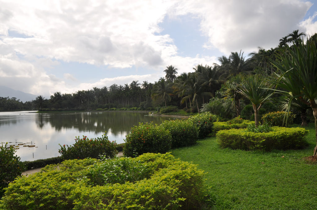 DSC_1124.JPG