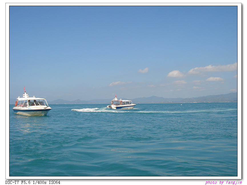 DSC01142.jpg