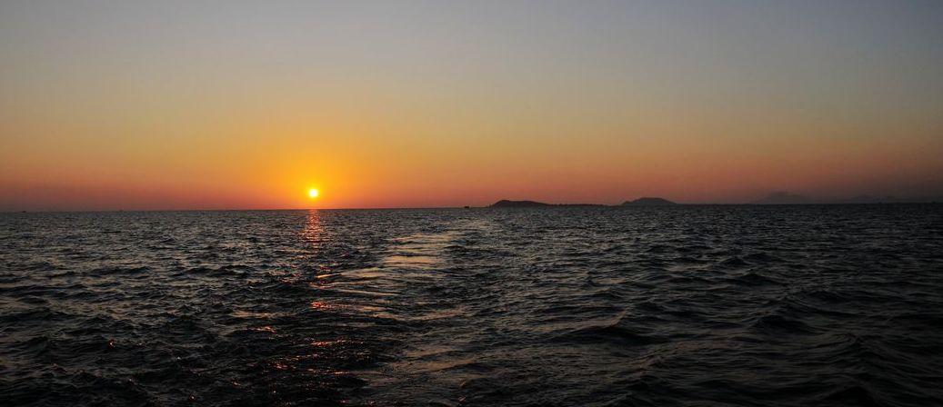 _DSC7643.jpg