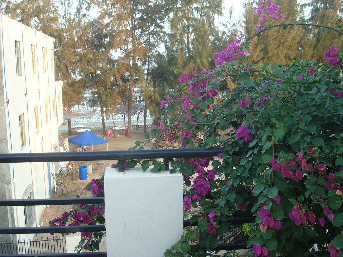 nEO_IMG_DSC00084.jpg