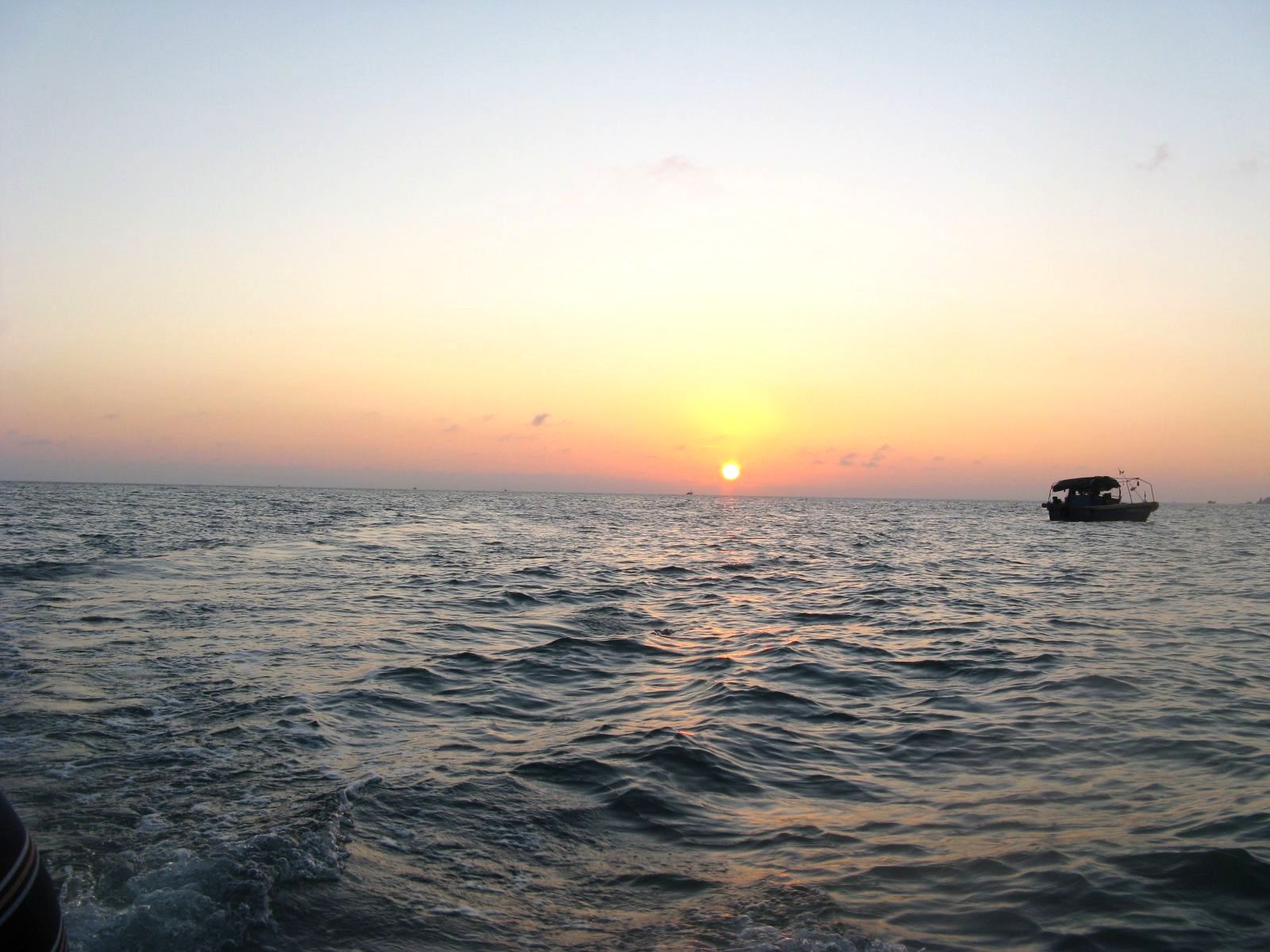 IMG_3271.JPG