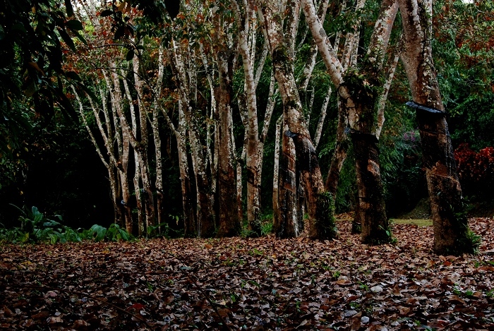 DSC_1933.JPG